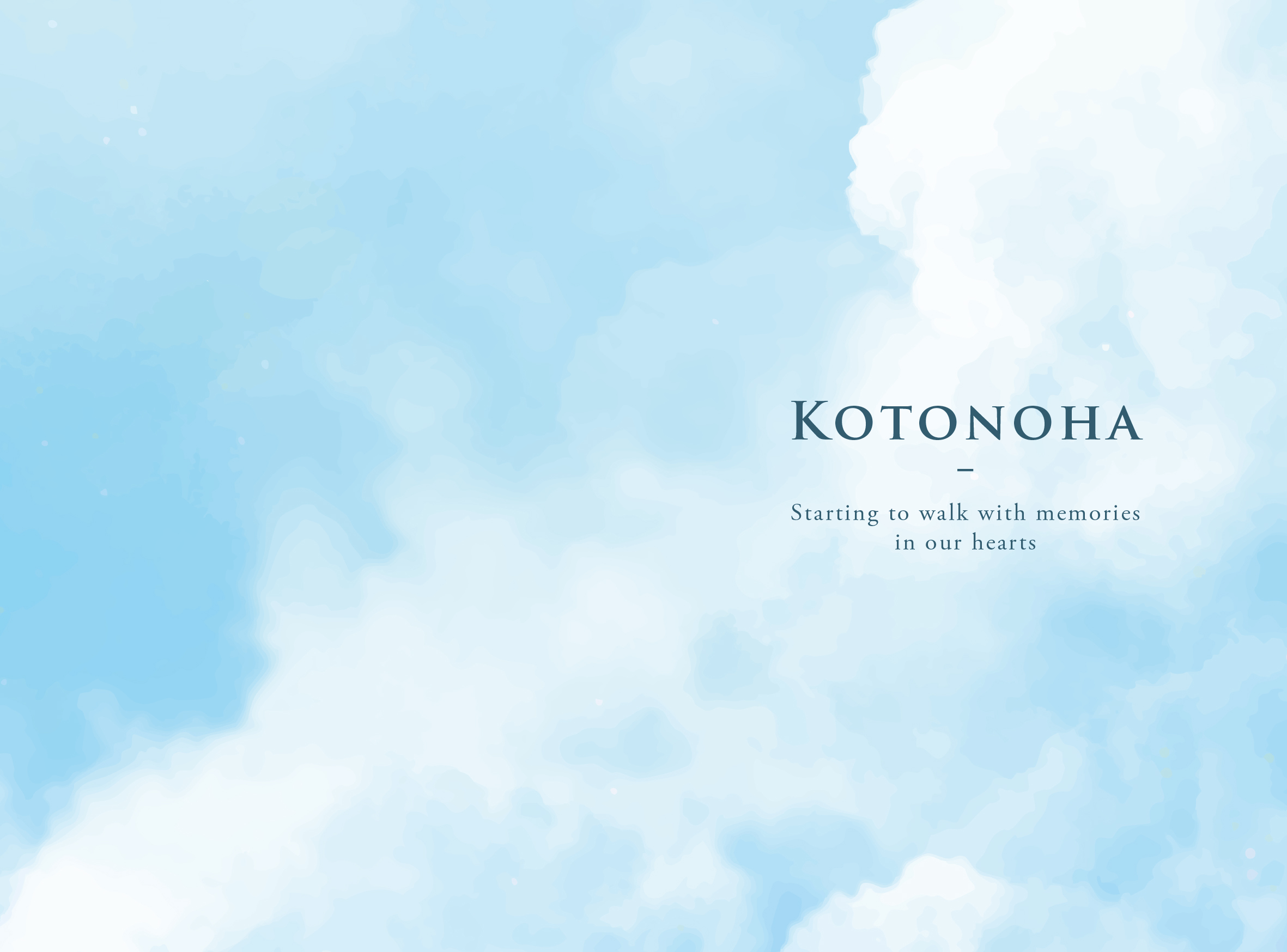 TK-009 空（写真あり）