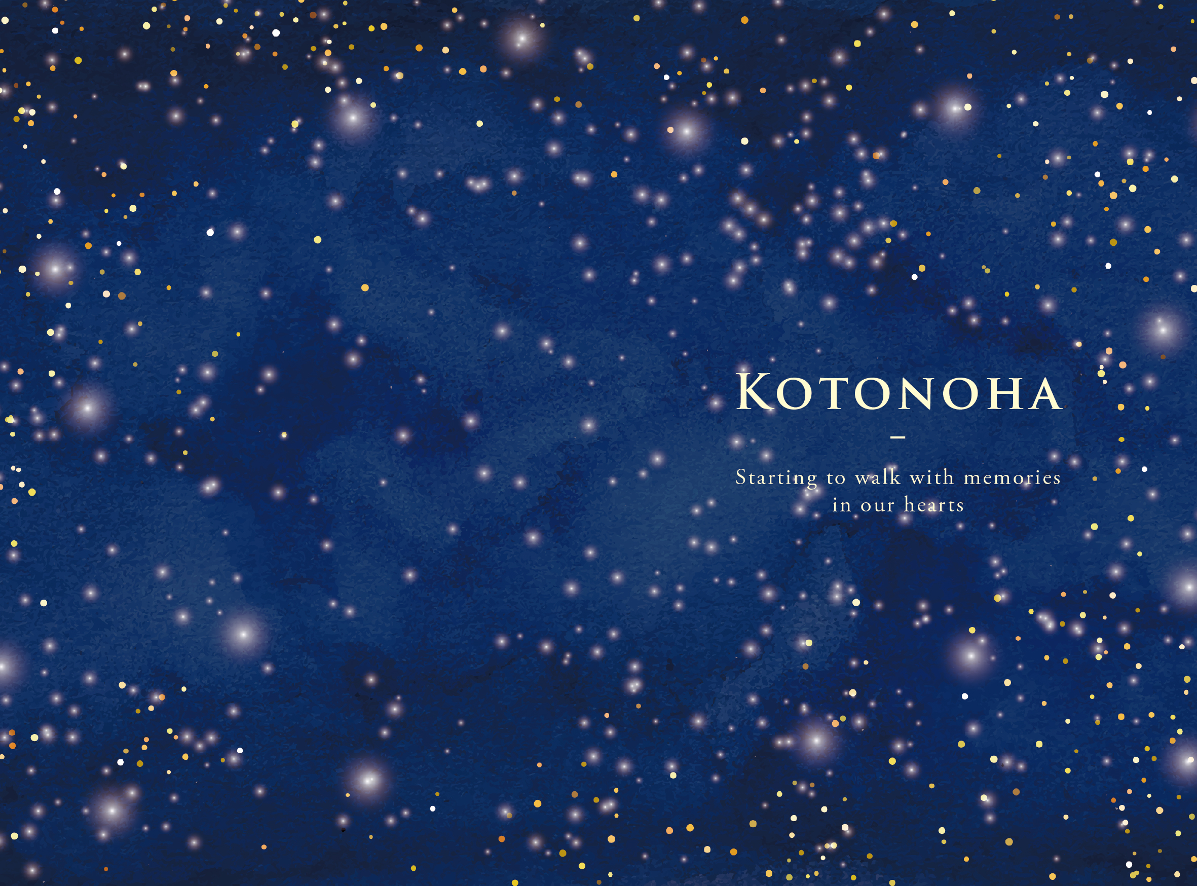 TK-011 夜空（写真あり）