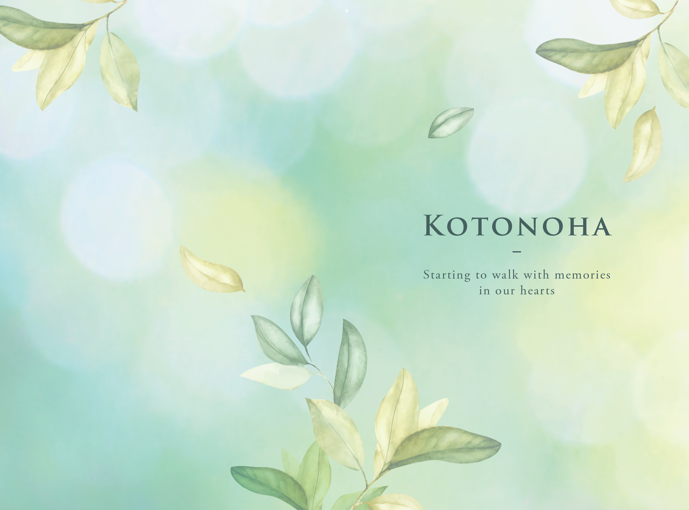 TK-007 こもれび（写真あり）