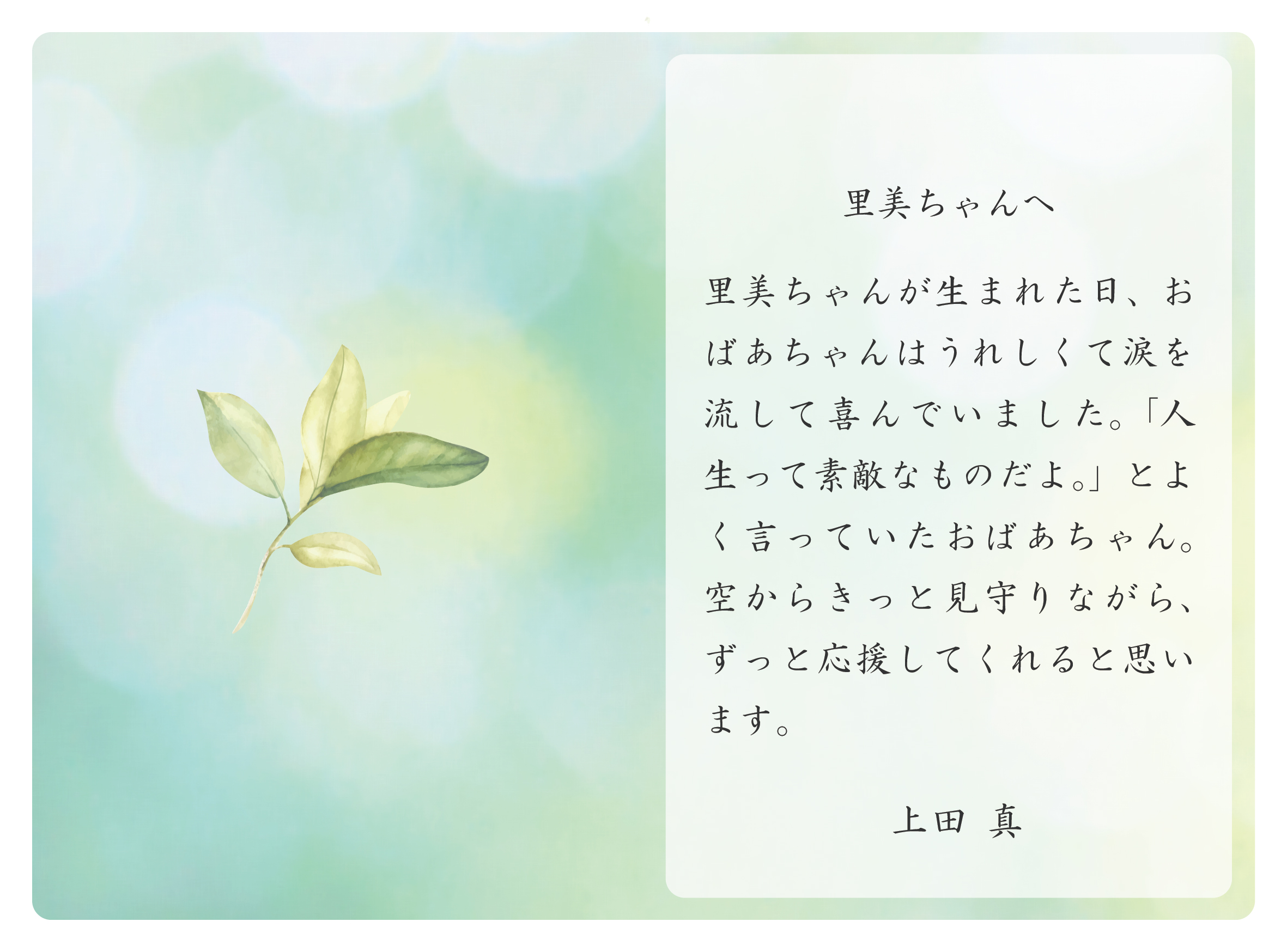 TK-007 こもれび（写真あり）