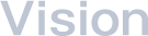 Vision